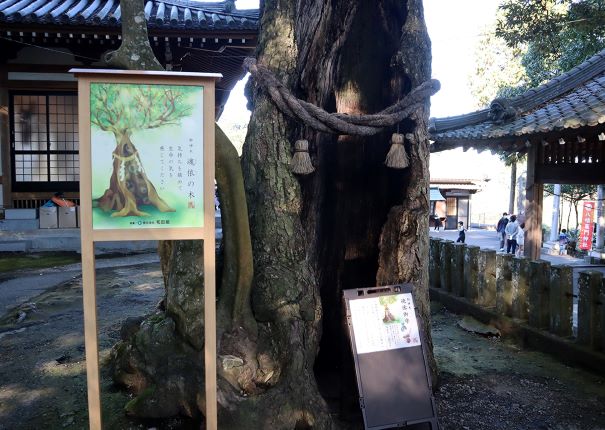 公式 ホテル リゾーツ 別府湾 大分 別府のリゾートホテル