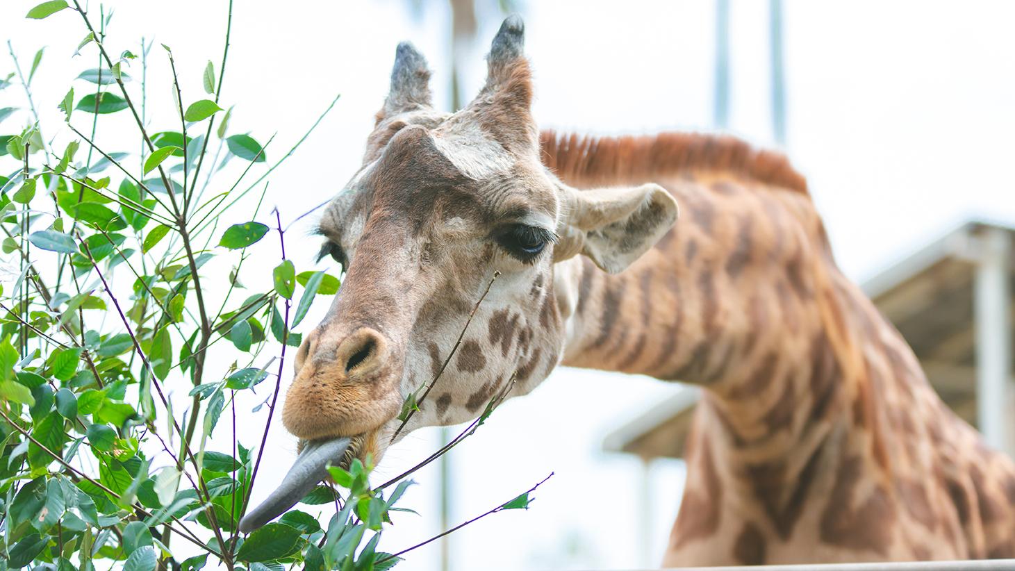 【2食付き】12種類のアクティビティが楽しめる！お子様半額宿泊プラン